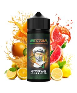 NECTAR CITRUS JUICE 120ML