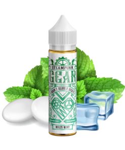 STEAMPUNK GEAR MULTI MINT 60ML